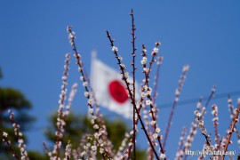 春国旗